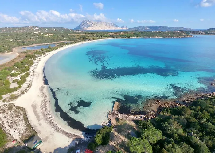 Apartment Iss Travel, La Ginestra - 2-bedroom With Terrace And View Over Tavolara Island *