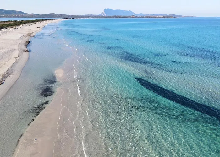 Apartment Iss Travel, La Ginestra - 2-bedroom With Terrace And View Over Tavolara Island San Teodoro (Sardinia)